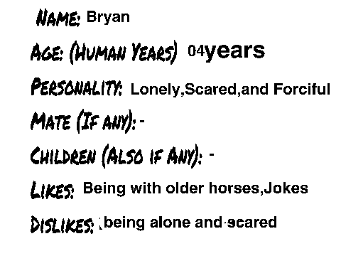 Fantasy Horse RP-Bryan