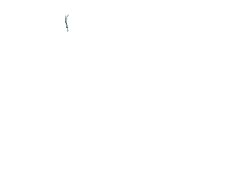Plane animation