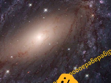 Gedagedigedagedao In Space