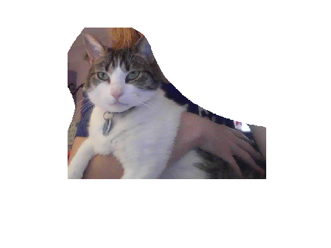 Draw my pets pls!