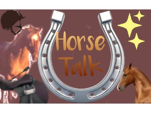 Horse Talk-- Arabians