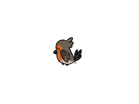 Bean - Ibis's Birds/Comfort