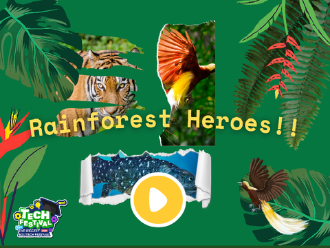 Rainforest heroes!! 