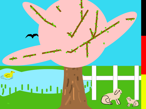 Cherry Blossoms