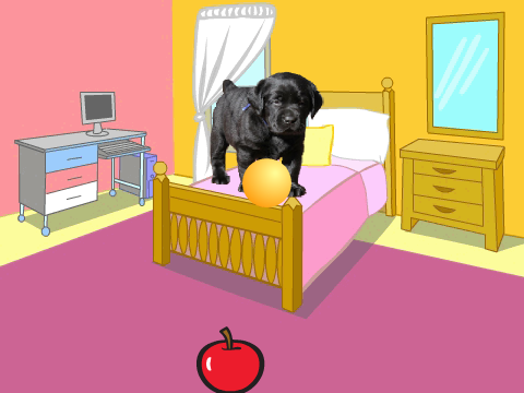 Pet Dog