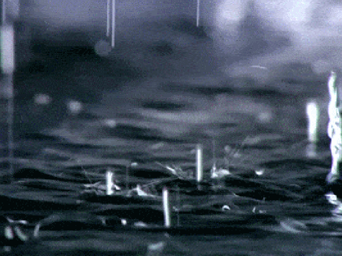 Rainy Weather :(