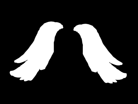 bougie wings thing
