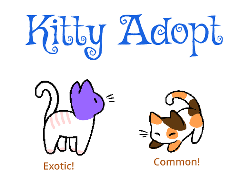 Kitty Adoption Center