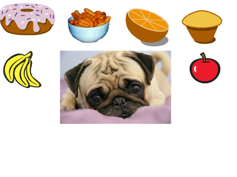 what should i eat