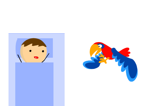 Morning Birds in a Nutshell