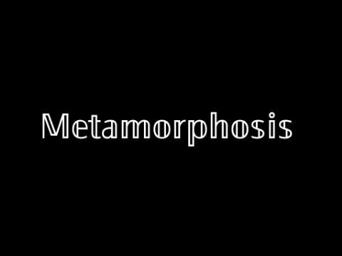Metamorphosis Meme