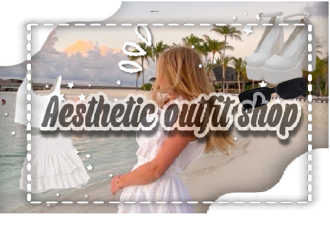 for the aesthetic outfit shop