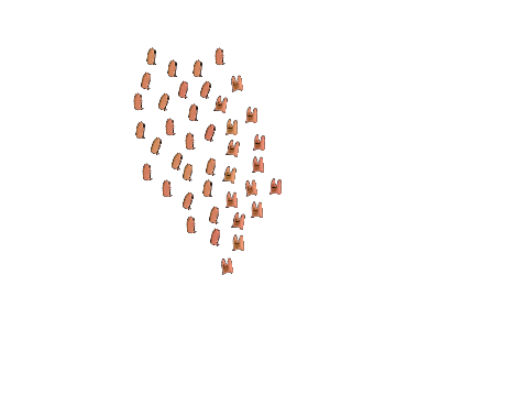 Fuzzie Followers