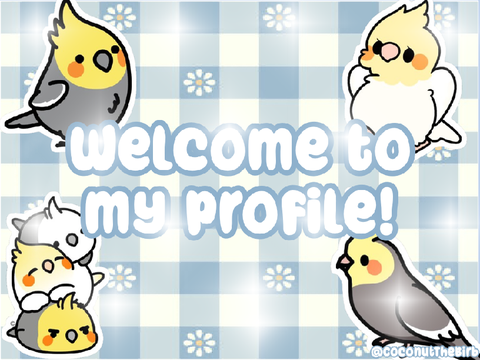 Banner for @BirdsRcool24