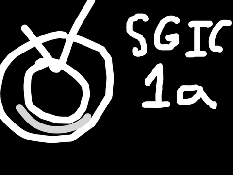 SGIC 1a remix