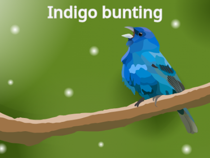 Indigo bunting art