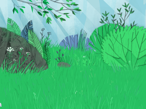 My Contest Entry