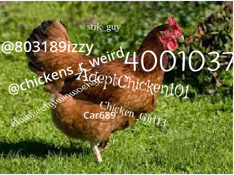 Sign if you love chickens remix remix remix remix remix remix remix