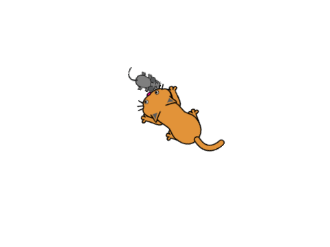 protect the mouse