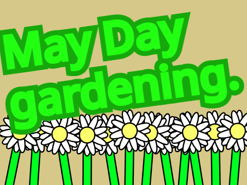 May Day gardening.