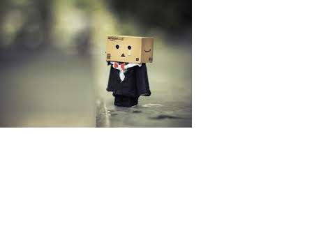 danbo 