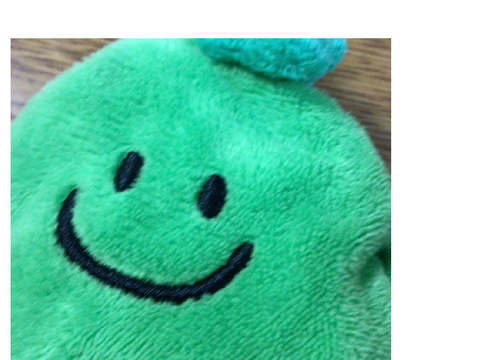 さやえんどーくんあらった！