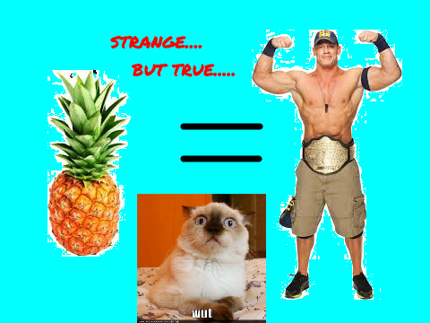 JOHN CENA lives in a pineapple under the sea!