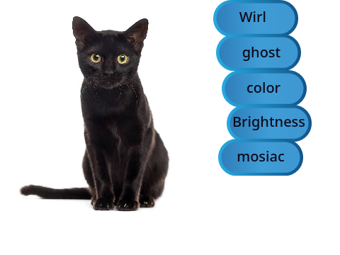 image editor