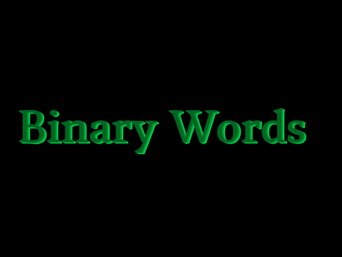 Binary Words