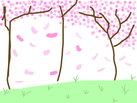 Sakura Trees