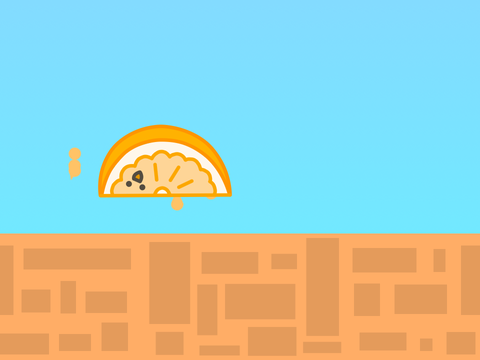 bounci orange