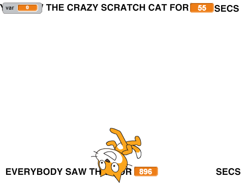 The Crazy Scratch Cat!!!!!
