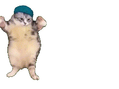 dancing cat