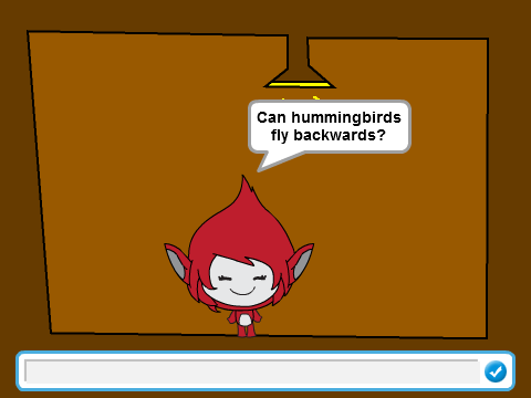 The random quiz v 0.01