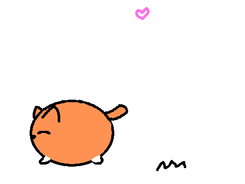 Jump, kitty, jump!