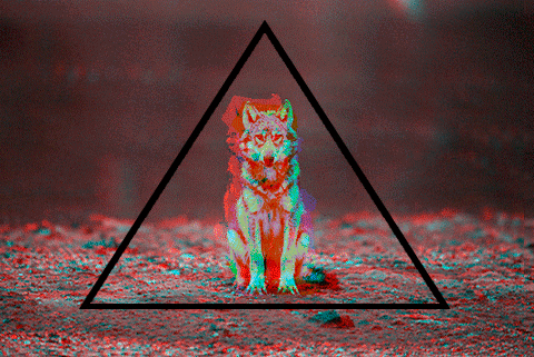 Dj Wolf Entertainment Remixes 