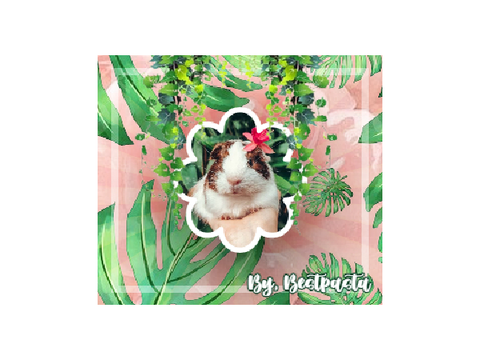 PFP entry!