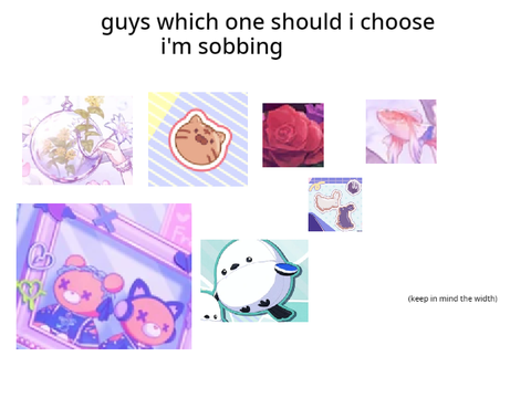 MISSION IMPOSSIBLE: FINDING A PFP