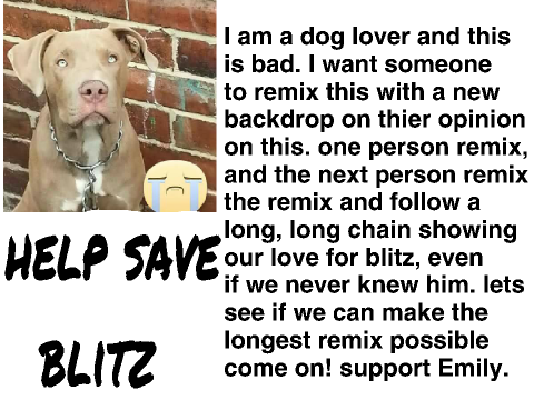 help save blitz! remix remix