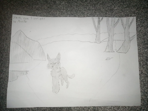 All my art! #all #art #starlight 