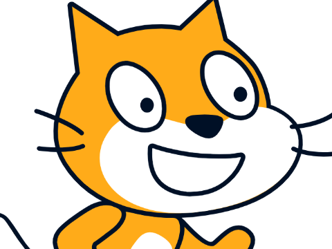 Random Cat Stuff