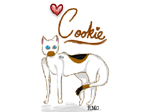 For shira612 <3 C̥ͦo̥ͦo̥ͦk̥ͦi̥ͦe̥ͦ