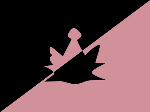 Project thumbnail