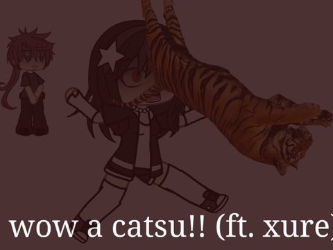 woaw a catsu!! ( trashpost )