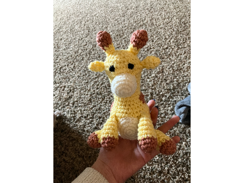 A few more things I've crocheted