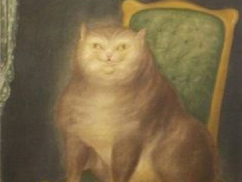 ⠀⠀⠀