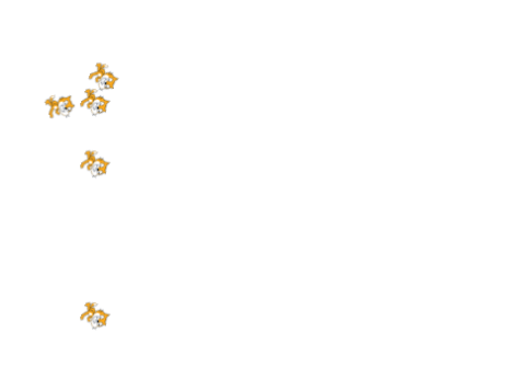 Pen particles test