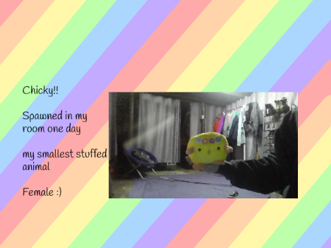 All of my stuffed animals!!