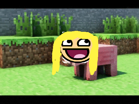 Add Your Face on A Pig! remix
