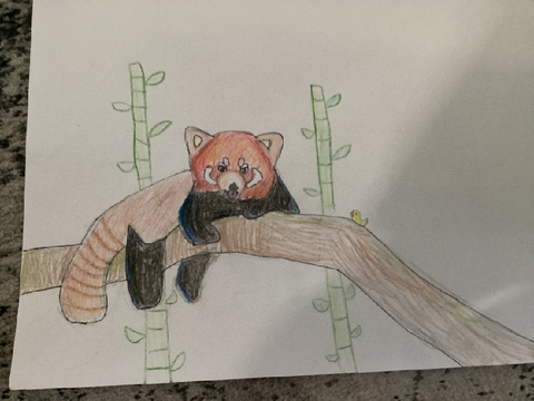 Y DO I SUCK AT SHADING?!?!?!